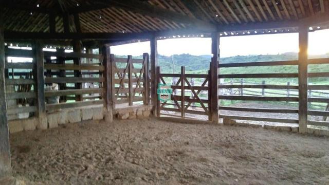 Itagibá. Fazenda pecuária de 375 Hectares com toda infraestrutura. - Foto 11