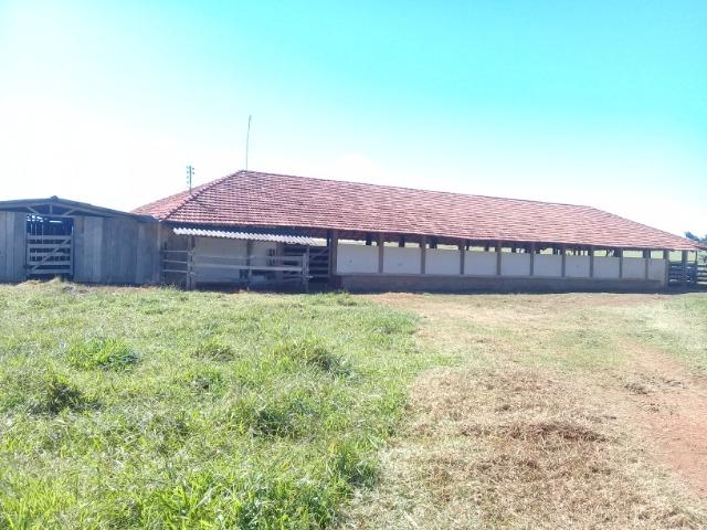 Oportunidade! Fazenda com 3.475 hectares - Foto 9