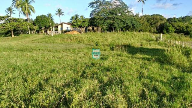 Itagibá. Fazenda pecuária de 375 Hectares com toda infraestrutura. - Foto 3