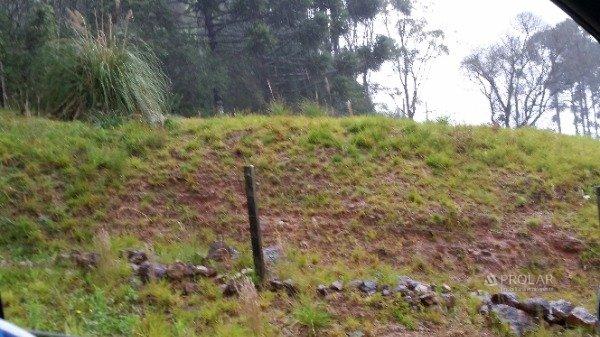 Terreno à venda em Monte berico, Caxias do sul cod:11305 - Foto 2