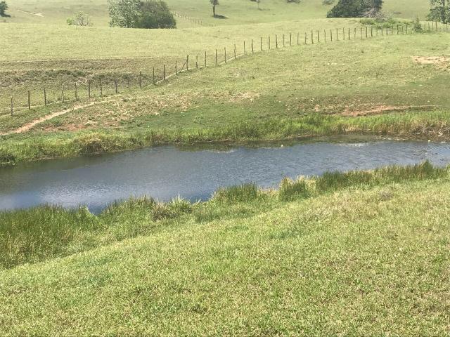 Fazenda pronta em Amargosa - Foto 4