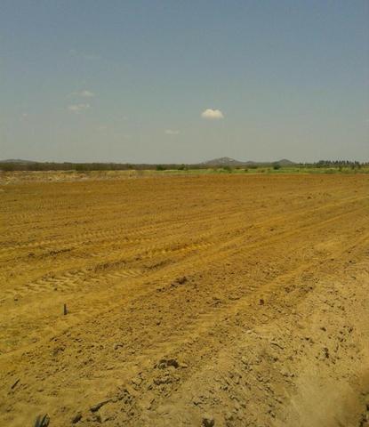 Fazenda a Venda - Foto 7