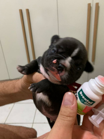 Compre com qualidade e confiança - Foto 5