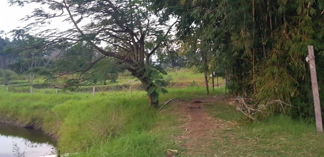 Lote de 20.000m2, Dr Camargo - Pr, R$ 700.000,00