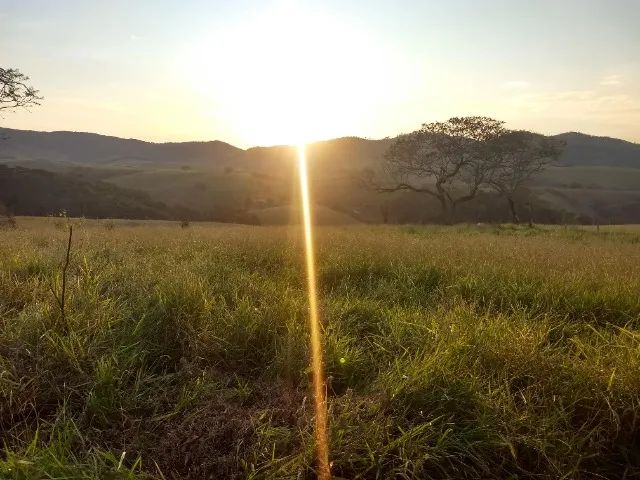 foto - Rio de Janeiro - Recreio dos Bandeirantes