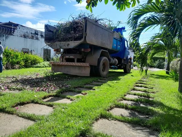 Retirada de entulho,corte e poda de árvores, frete e outros...