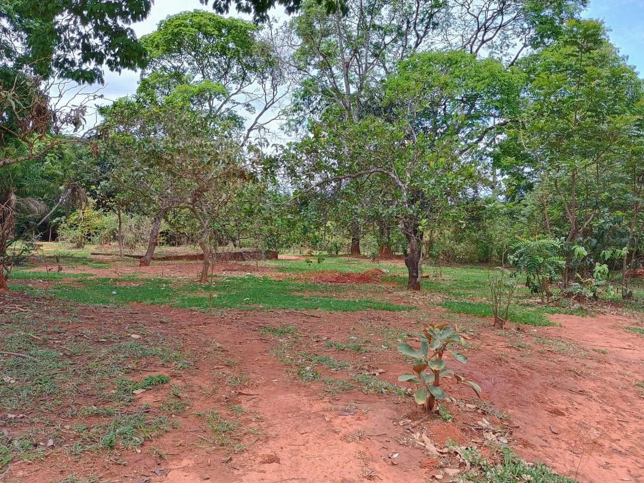 foto - Brasília - Ceilândia Sul (Ceilândia)