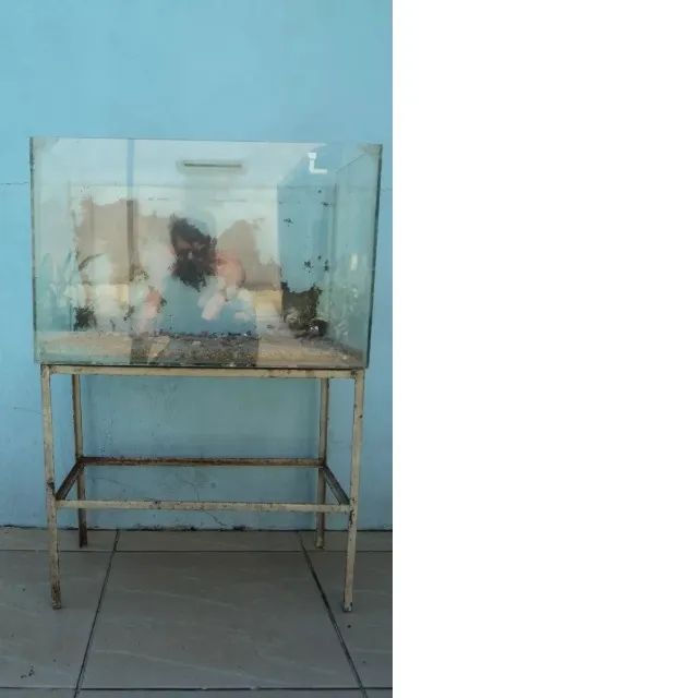 Aquário com Suporte, Tampa e Pedras - 72 Litros