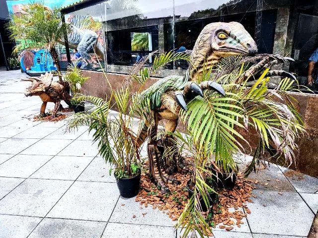 Dinossauros para locação  - Foto 5