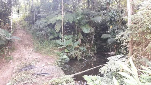 Sítio para Venda em Centro Tapiraí-SP - Foto 5