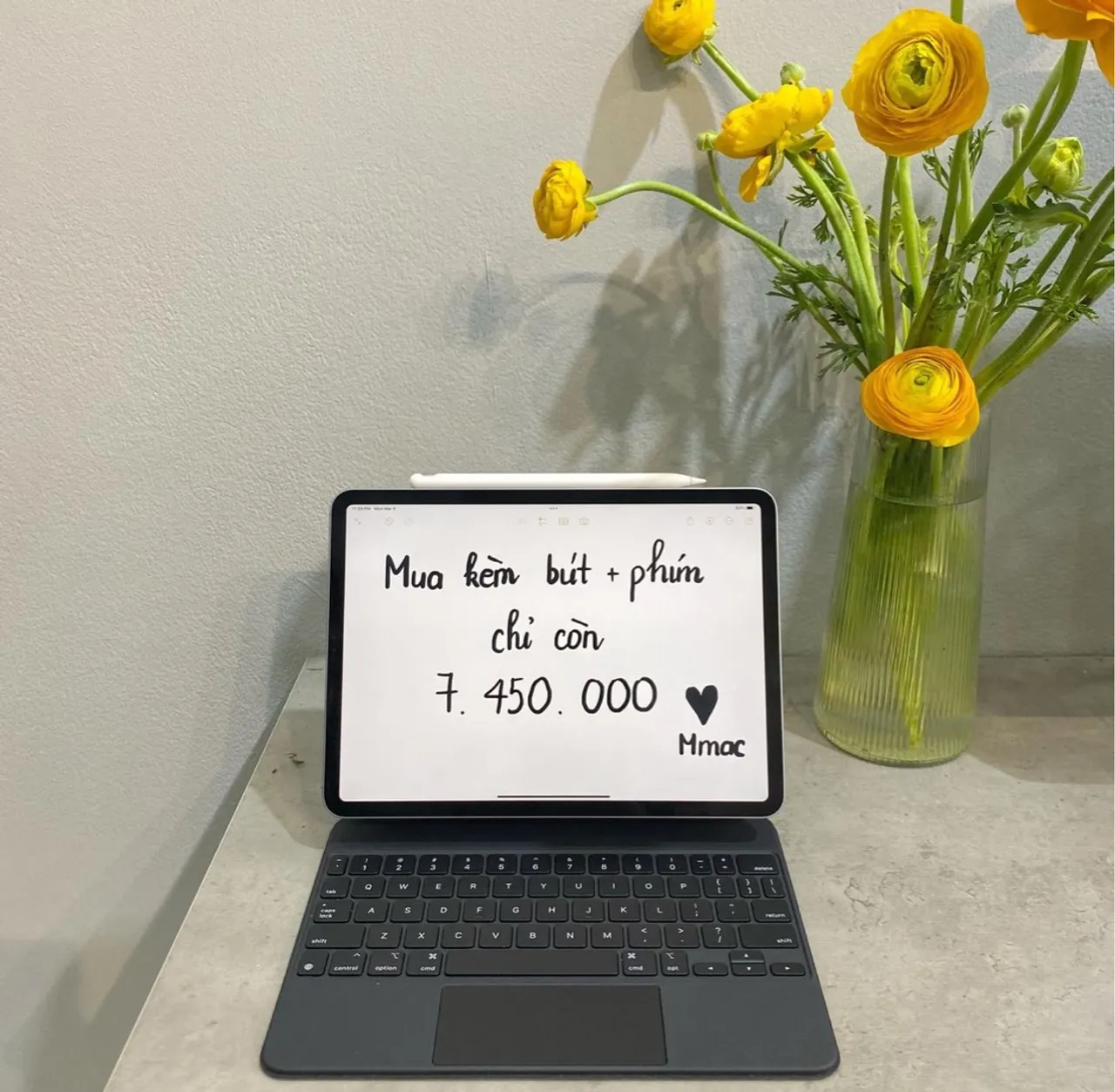 iPad Pro 11? M2 e caneta - Última unidade!