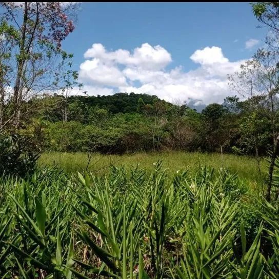 foto - Curitiba - Cajuru