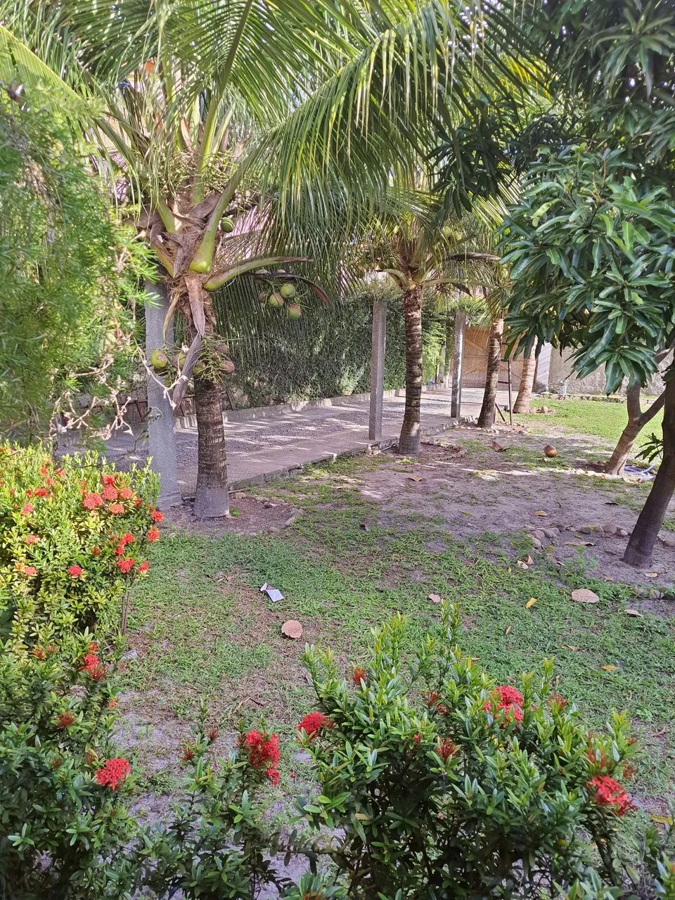 foto - Ilha de Itamaracá - 