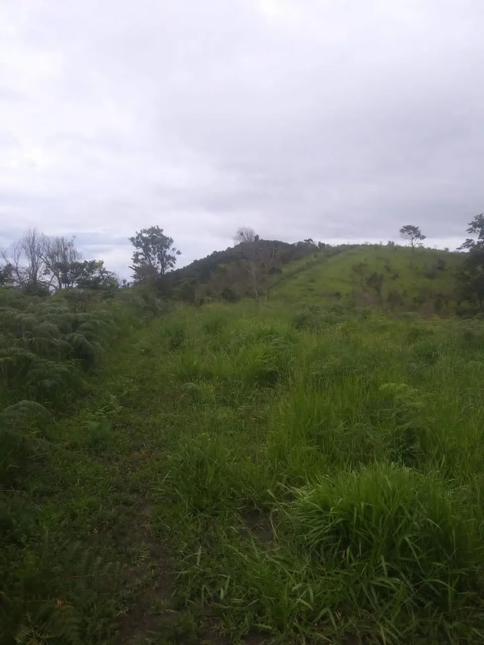 .Oportunidade única. chácara em Guaratinguetá - Foto 6