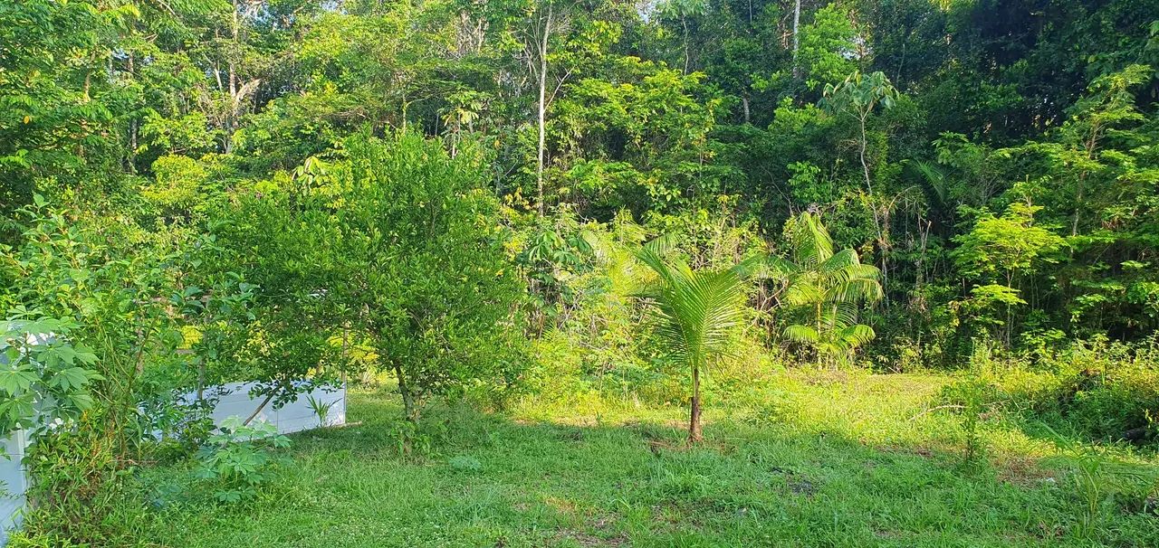 VENDO SÍTIO EM STA BÁRBARA  - Foto 4