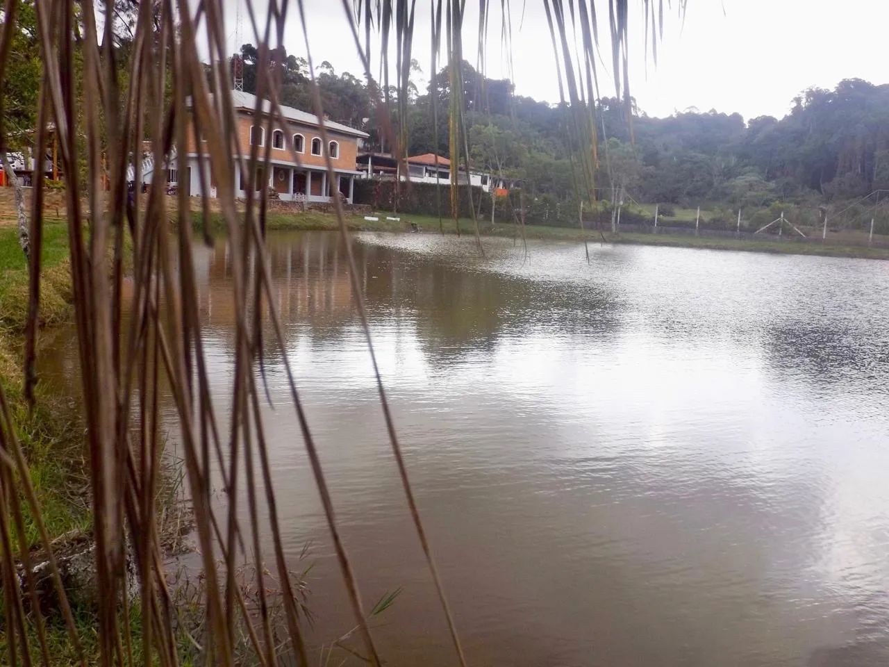 Sítio Chácara Evento Casamento Descanso Lazer Natal Réveillon Festas - Foto 6