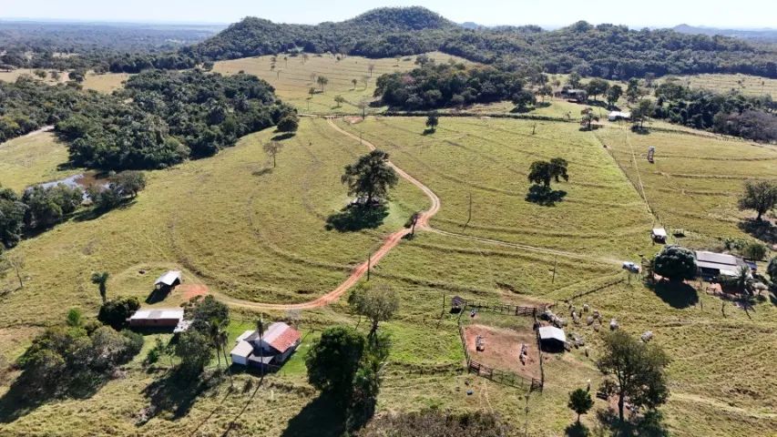 Fazenda de 204 Hectares São Gabriel do Oeste!