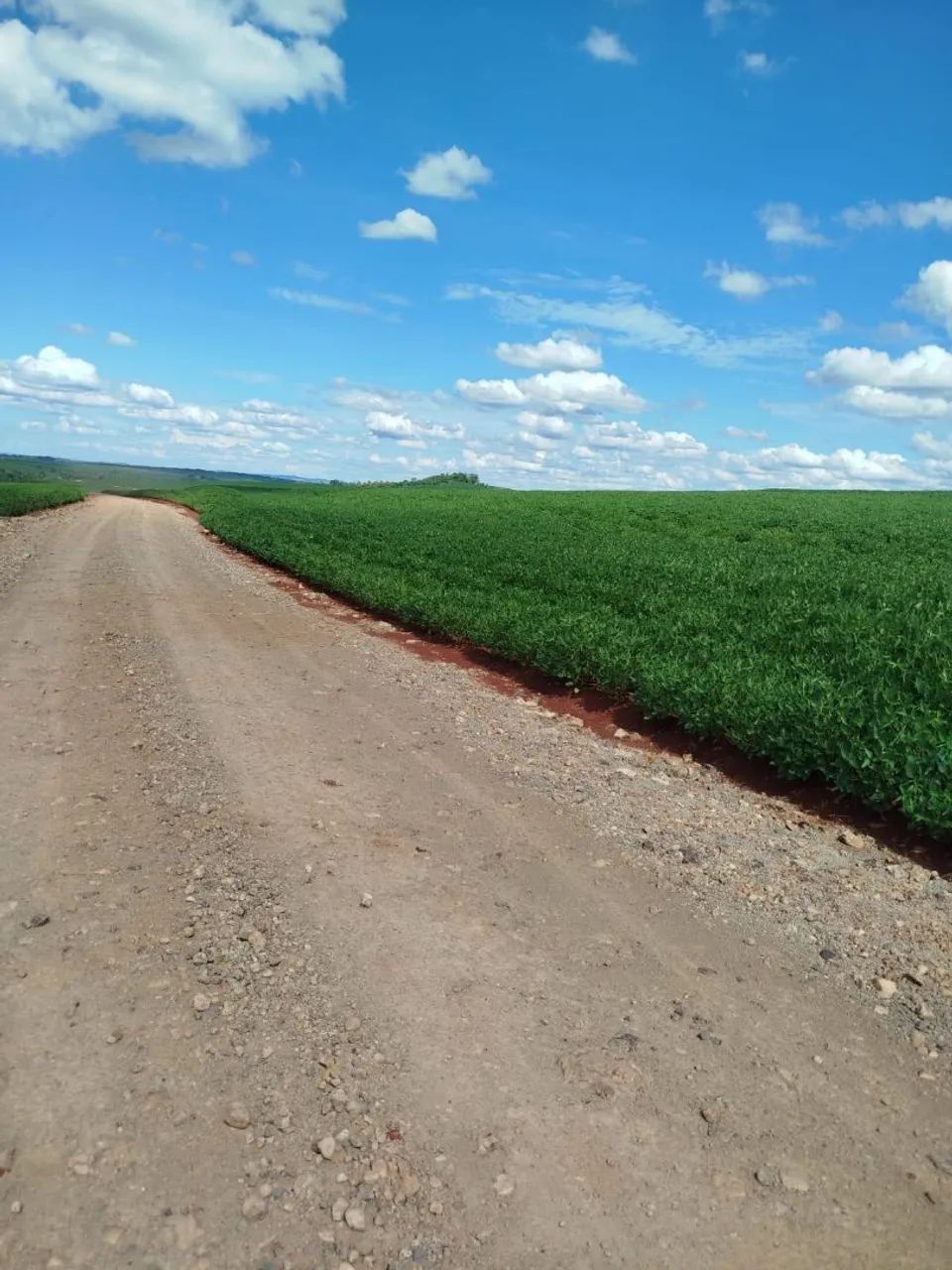 Sítio 40.laqueiro  - Foto 3