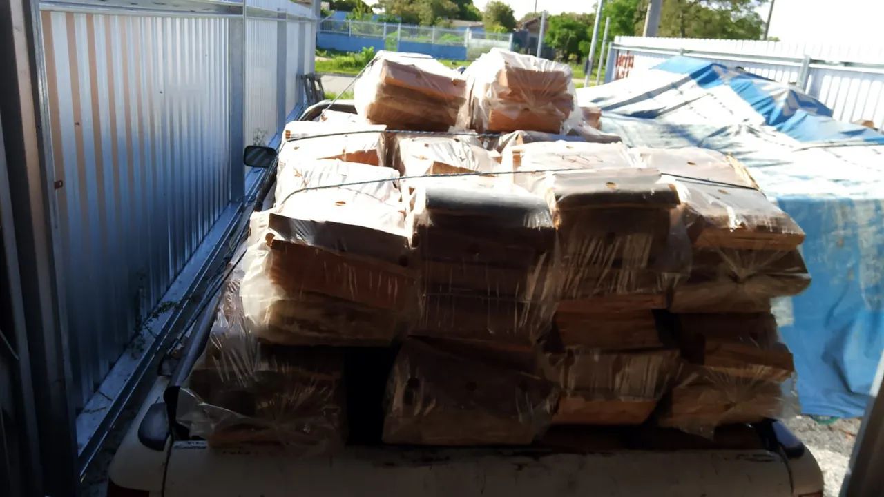 Lenha Acácia e Eucalipto  - Foto 3