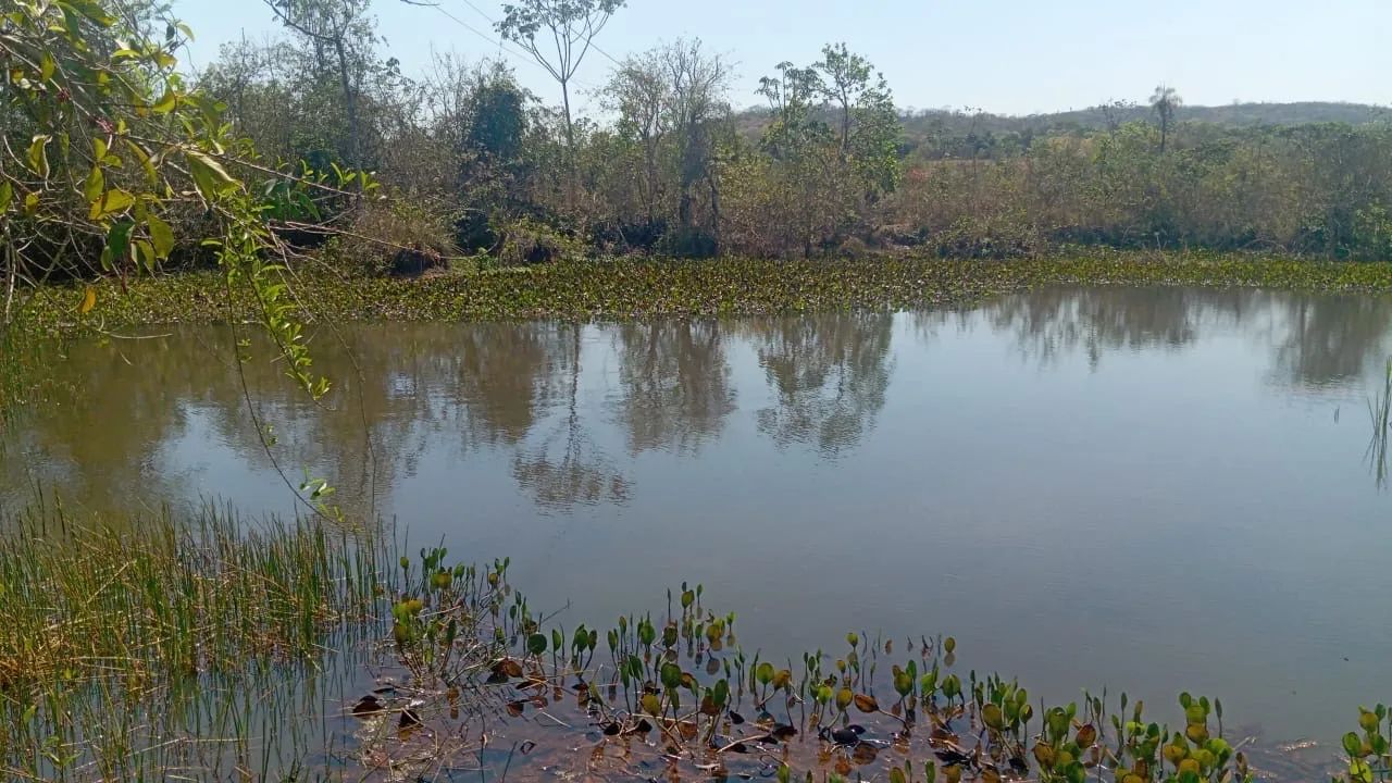 Única oportunidade de chácara no Rio dos bois Tão perto de Goiânia - Foto 6