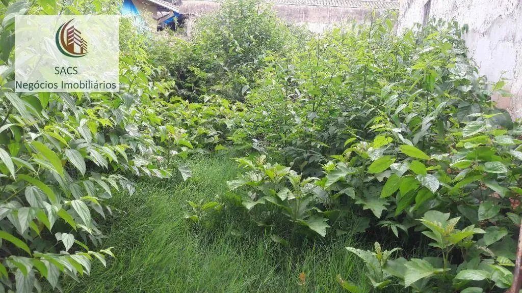 Terreno, 255 m² -Aluguel por R$ 1.200/mês ou Venda por R$ 350.000 - Bosque - Campinas/SP - Foto 3