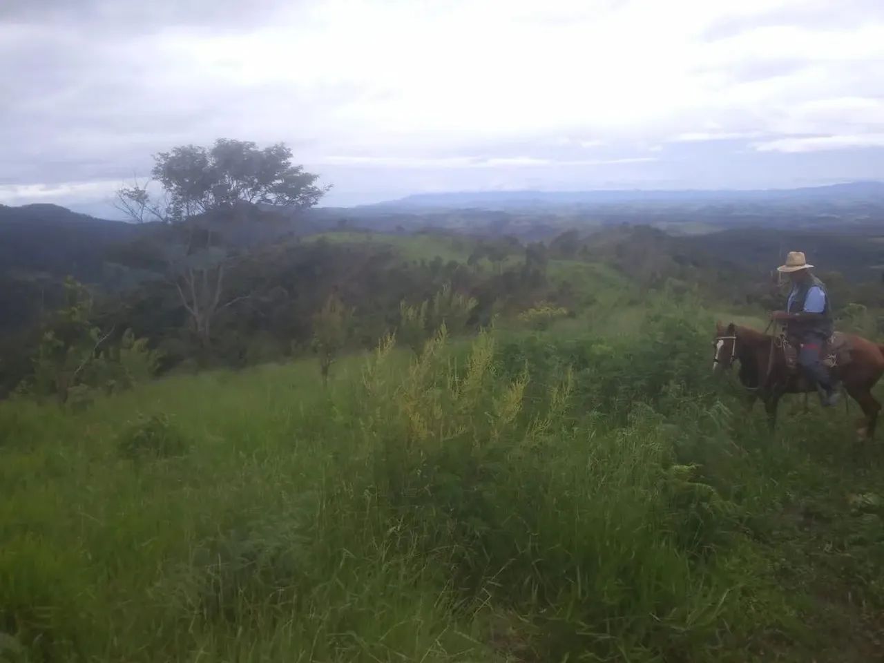 .Oportunidade única. chácara em Guaratinguetá - Foto 3