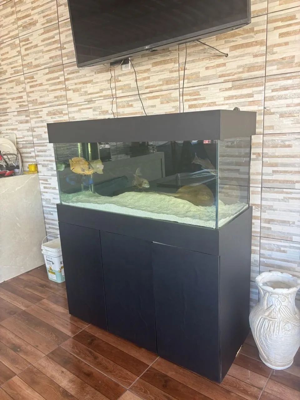 Aquário 120x50x50