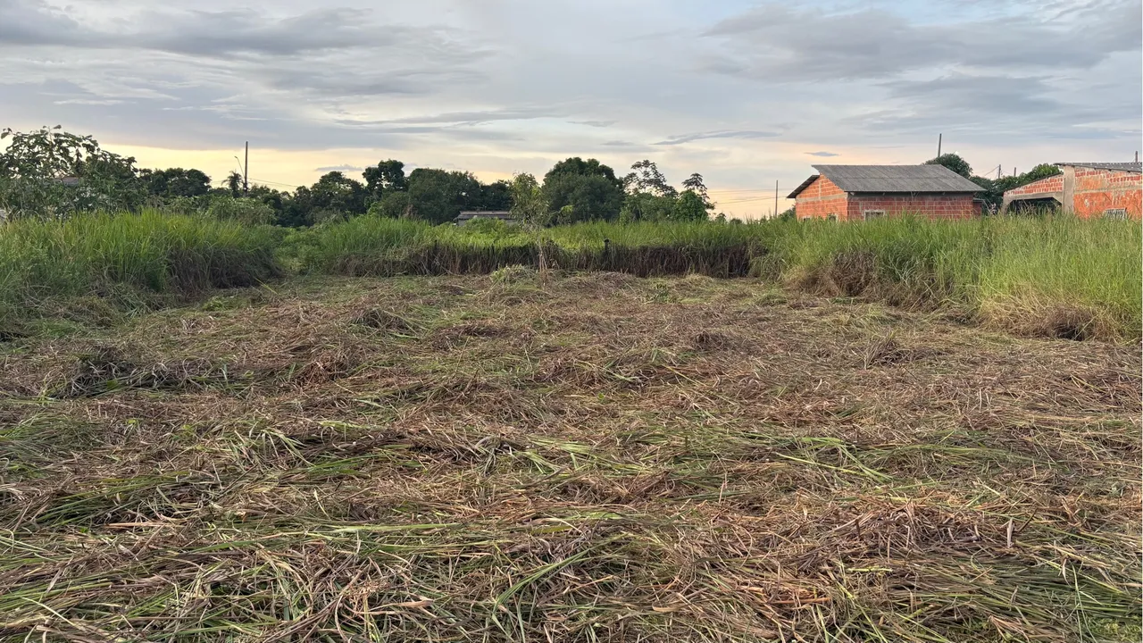 Terra boa para você construir seu sonho