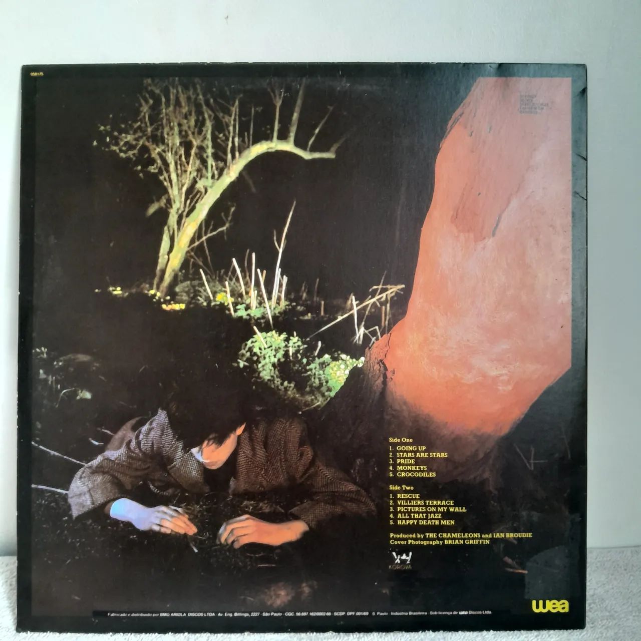 Vinil lp Echo & The Bunnymen - impecável  - Foto 2