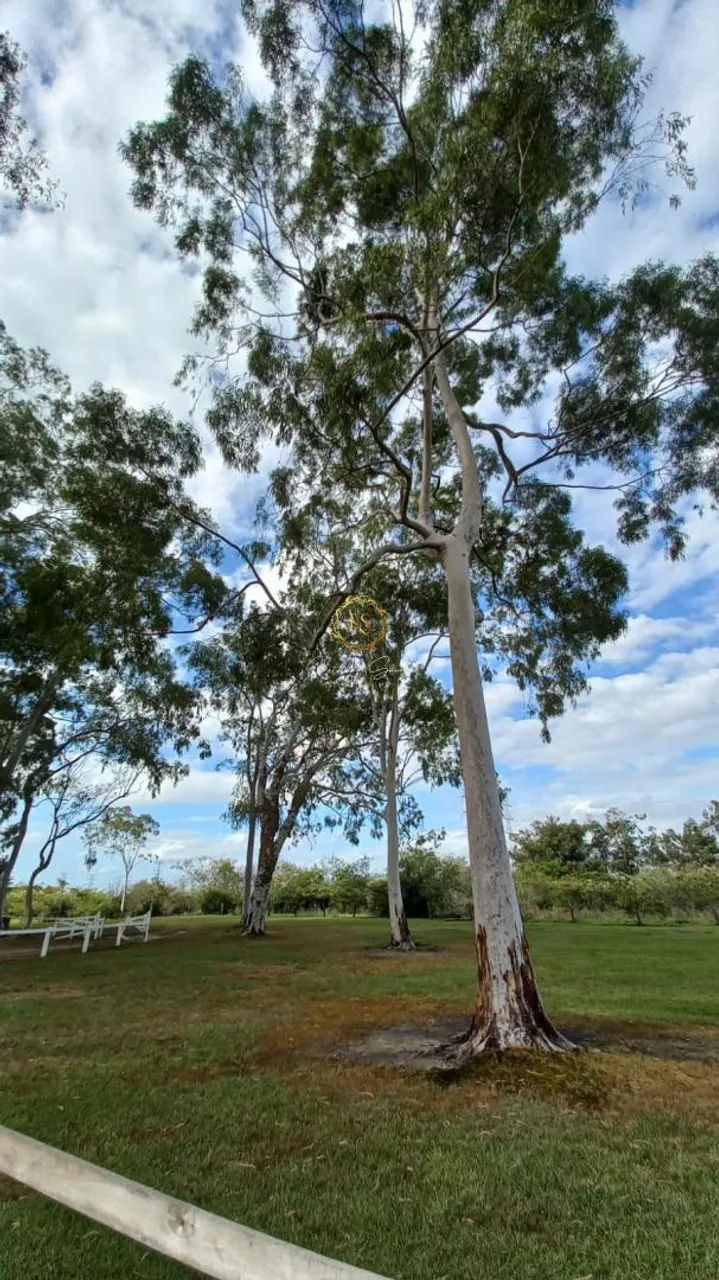 Sítio usado à venda em Nova Santa Rita, Porto da Figueira REF: CS0108