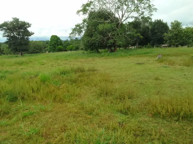 OTIMA OPORTUNIDADE