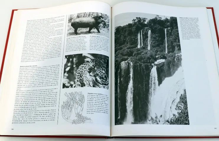 Livro Prodígios da Natureza - Vol. II - Foto 4