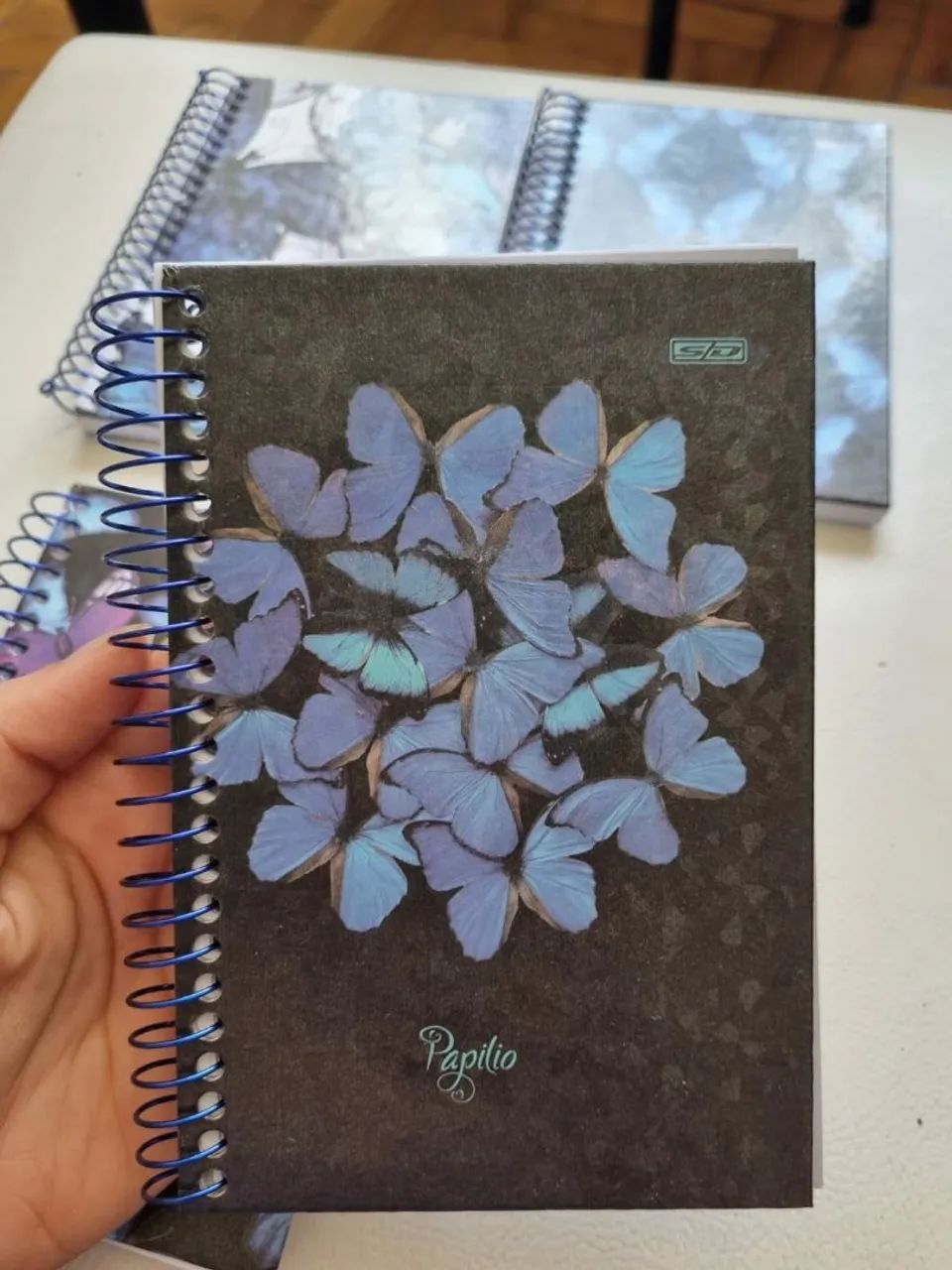 Agenda São Domingos (A6) - Foto 2