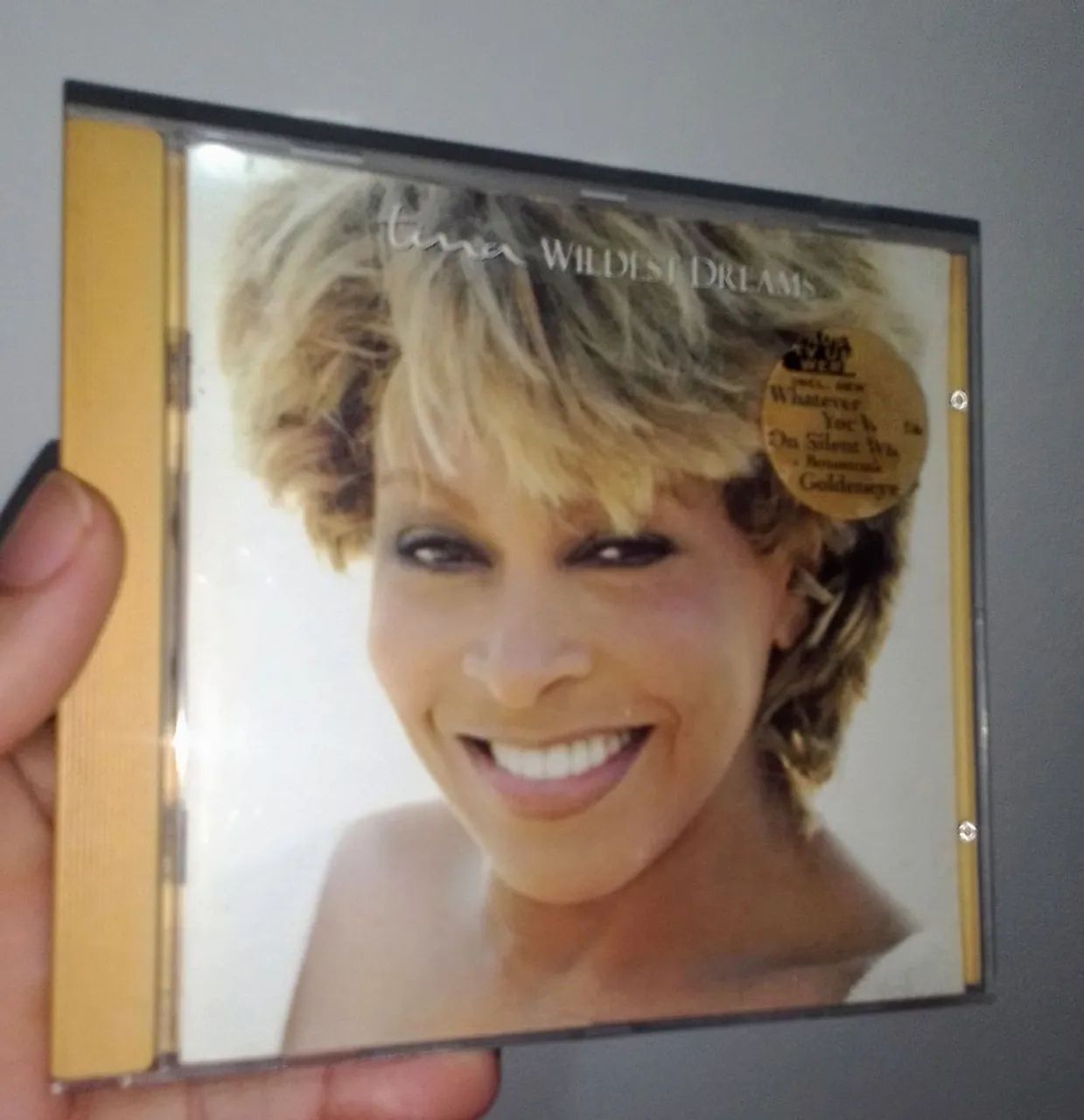 Cd Tina Turner - Wildest Dreams - Novíssimo!!