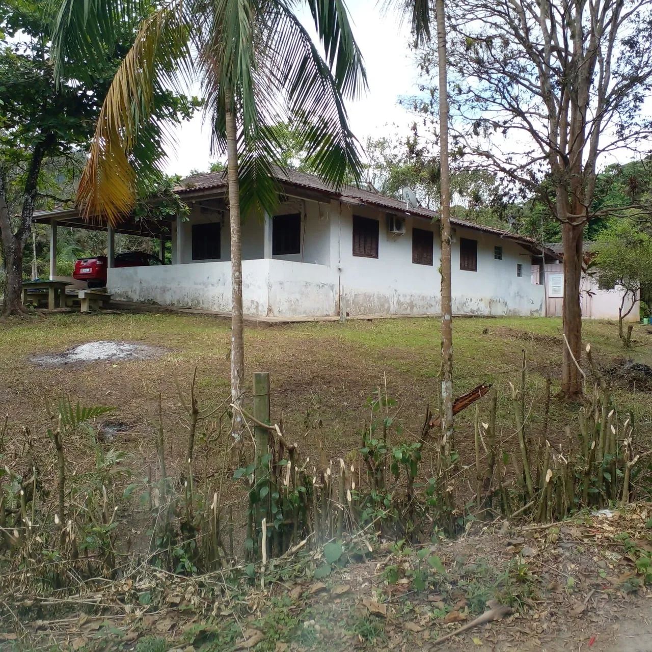 Foto - Antonina - Matarazzo