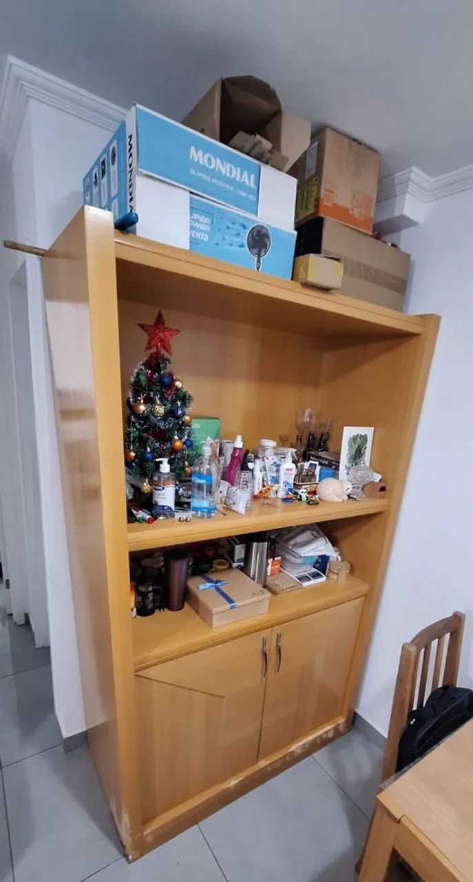 Armário versátil para livros, decoração e armazenamento