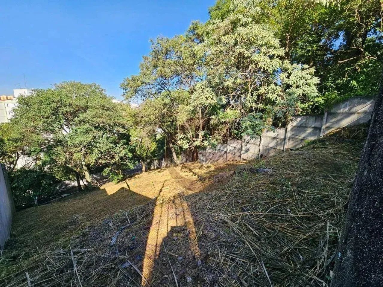 Terreno à venda, 588 m² por R$ 500.000,00 - Rolinópolis - São Paulo/SP - Foto 9