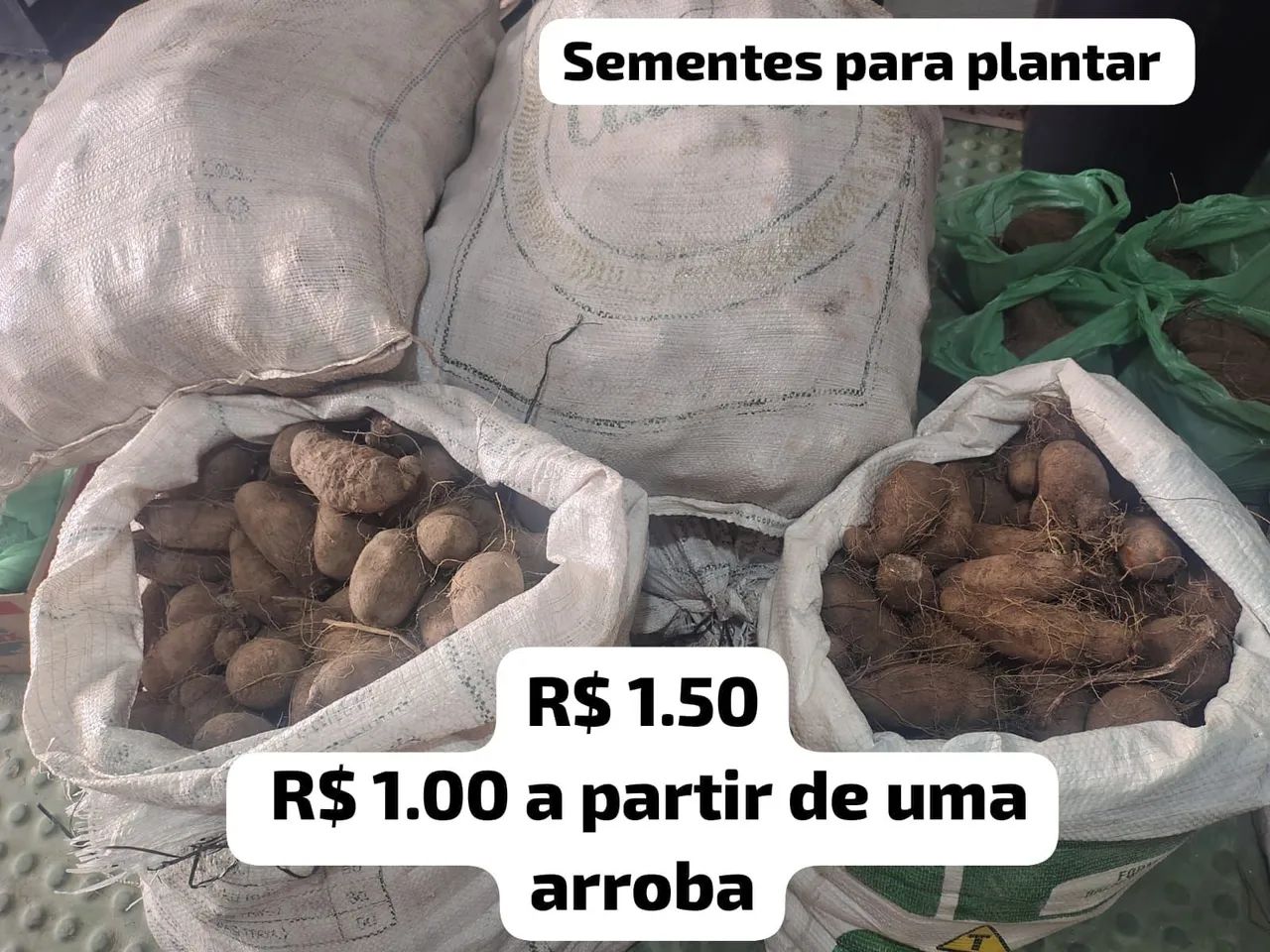 CARÁ DA PARAÍBA  - Foto 4