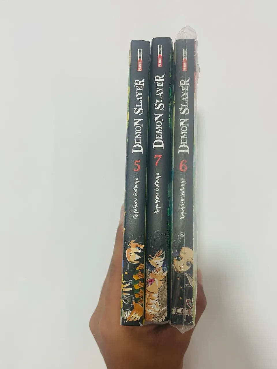 Mangá Demons Slayer