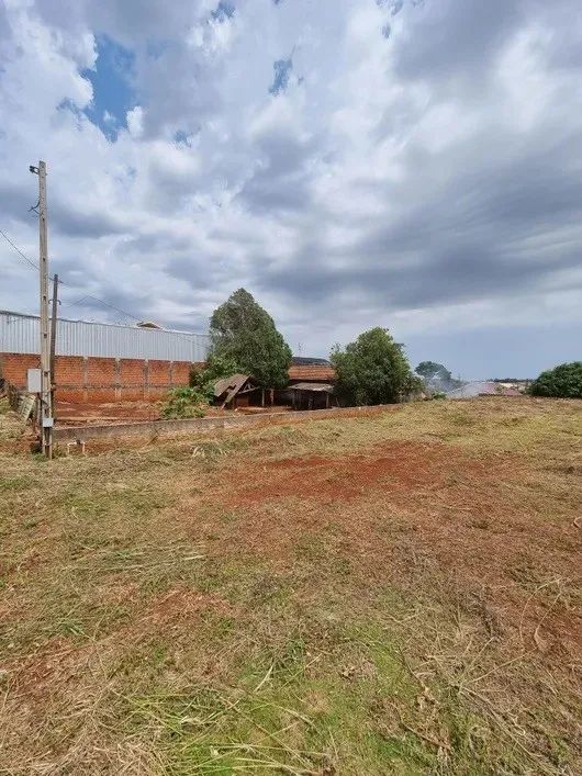 Terreno para Venda em Jesuítas, Centro - Foto 2