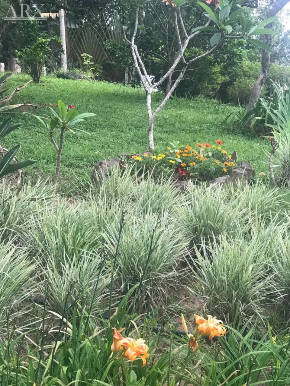 Terreno com 4.261m² no centro de Blumenau - Foto 3