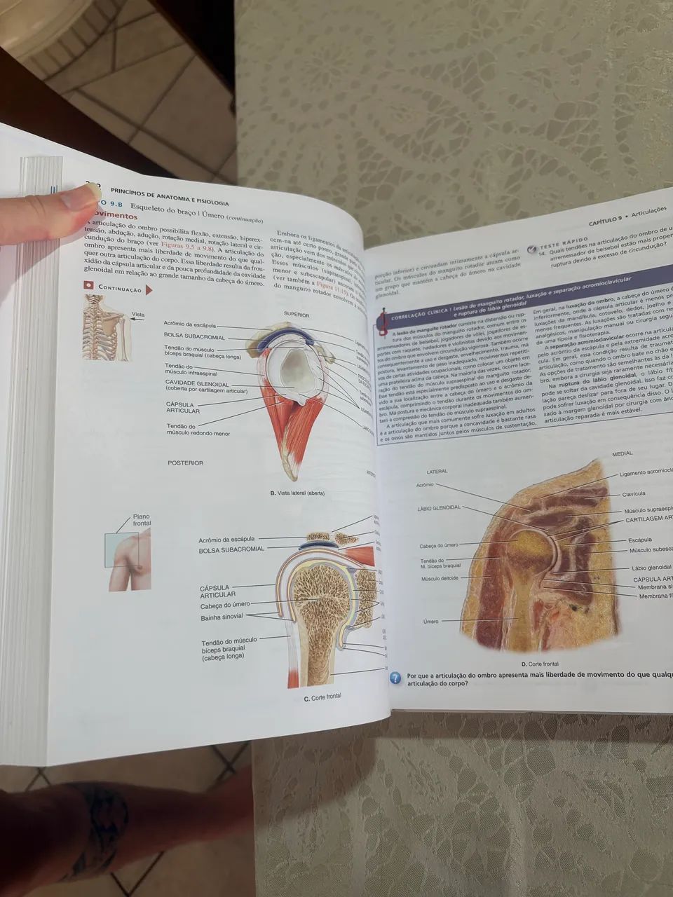 Princípios de anatomia e fisiologia 