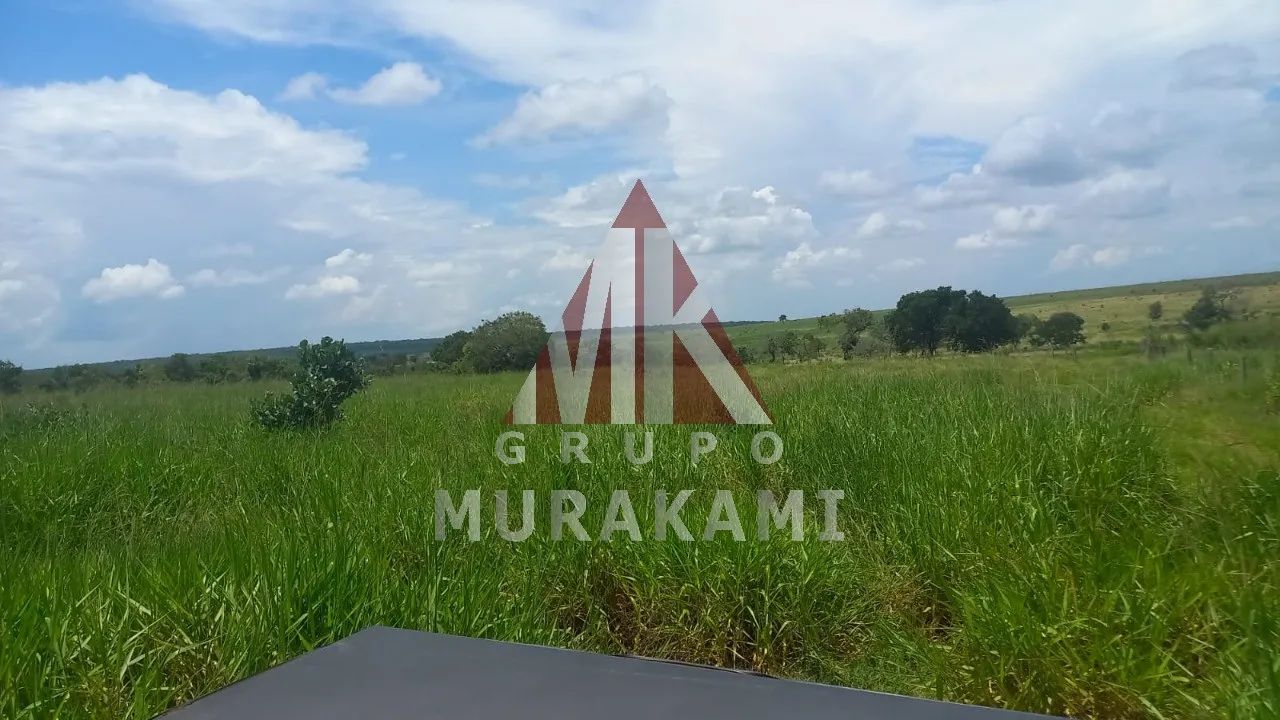 FAZENDA - SÃO GABRIEL DO OESTE - MS - Foto 2