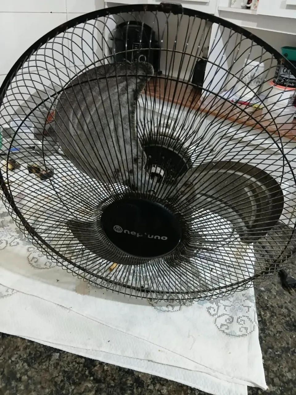 Ventilador Neptuno - Foto 3