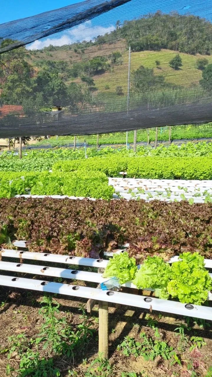 Perfis de Hidroponia Hidrogood | 800m² + Berçário | Oportunidade