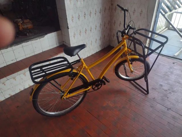 Bicicleta cargueira 