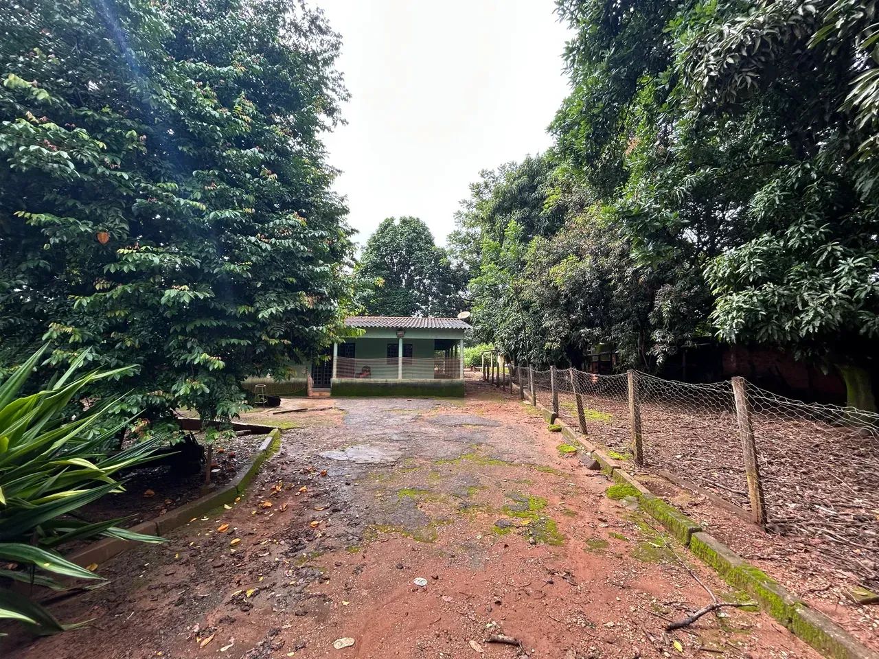 CHÁCARA NA VENDINHA - GO - Foto 3