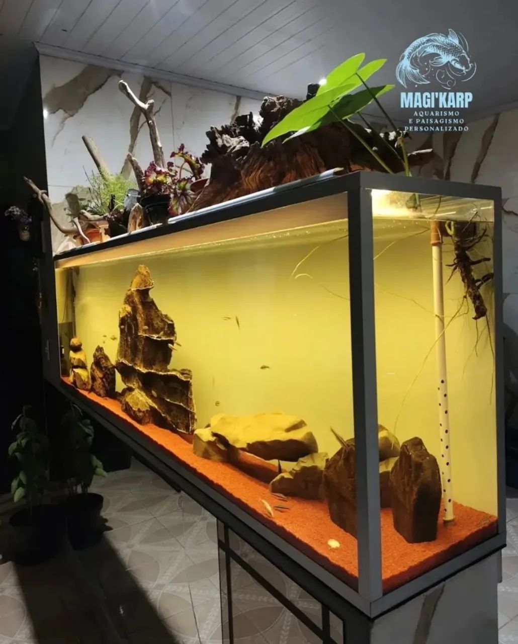 Aquário jumbo  barato 