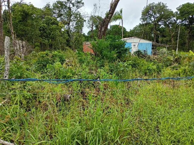 TERRENO PRAIA DE LESTE - Foto 3