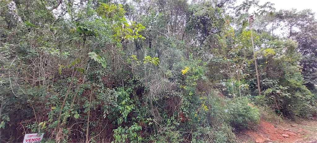 Terreno à venda em Samambaia - SP - Foto 5